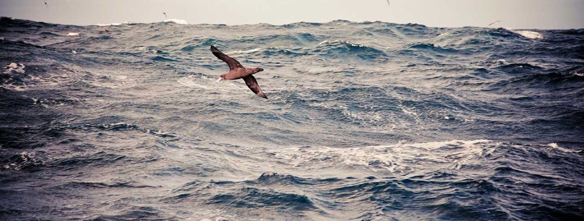 deep sea trawling stock photos